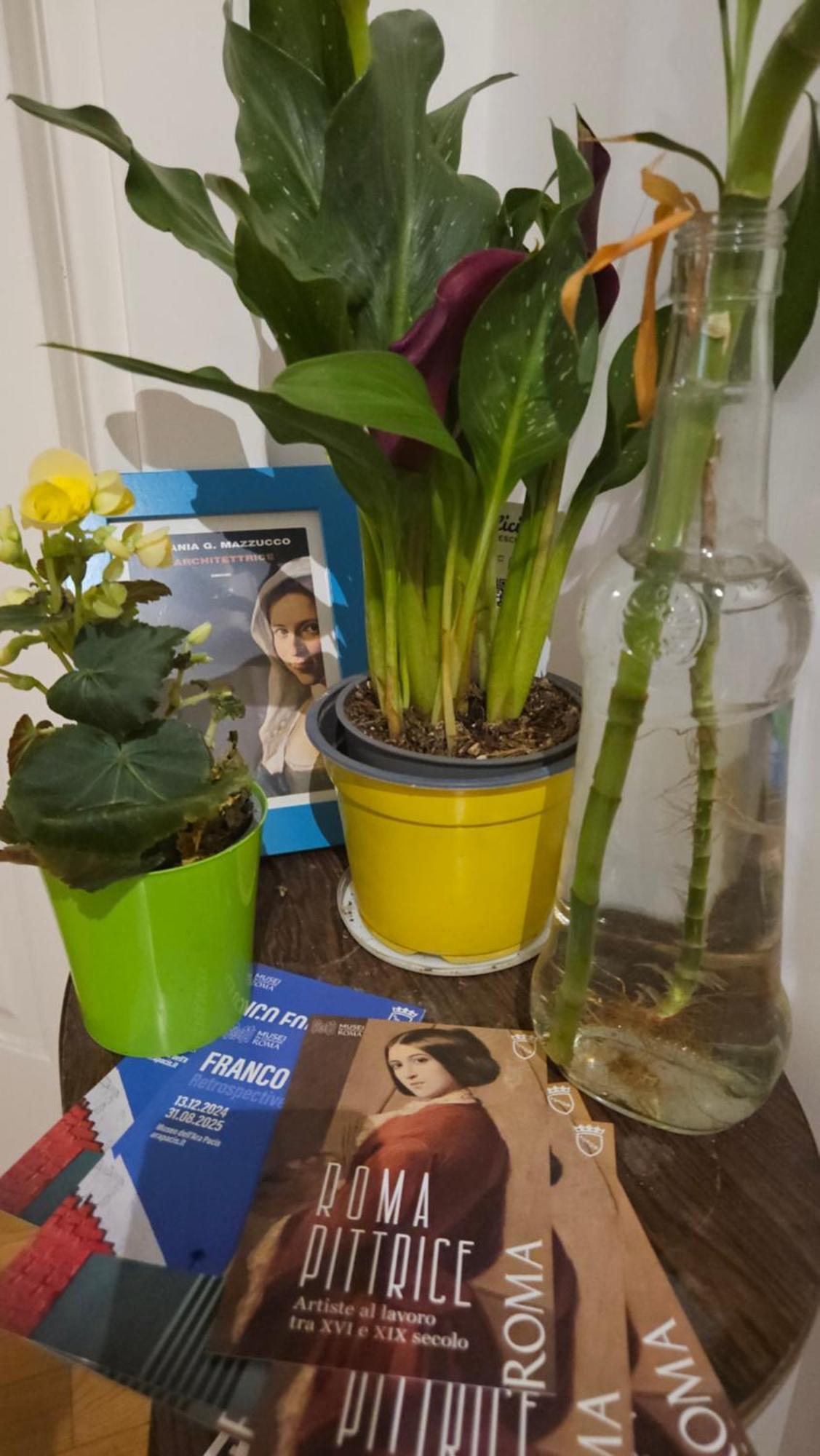 Ulysses In Rome Bed & Breakfast Ngoại thất bức ảnh