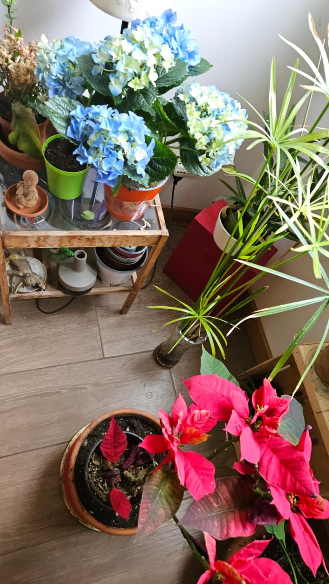 Ulysses In Rome Bed & Breakfast Ngoại thất bức ảnh